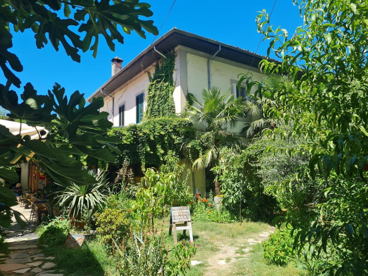 Mi Casa Es Tu Casa - Shkodra Backpackers Hostel Εξωτερικό φωτογραφία