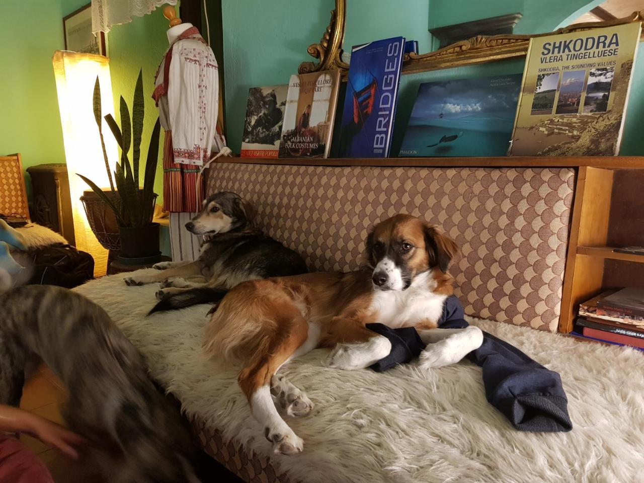 Mi Casa Es Tu Casa - Shkodra Backpackers Hostel Εξωτερικό φωτογραφία